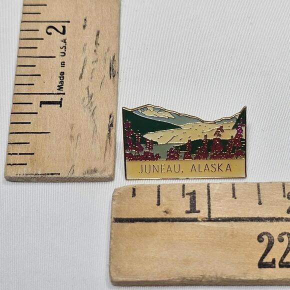 Vintage Resin Over Enamel Juneau Alaksa Ak Travel Pin Flowers Views - Picture 4 of 4